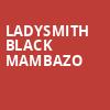 Ladysmith Black Mambazo, Hugh Hodgson Concert Hall, Athens